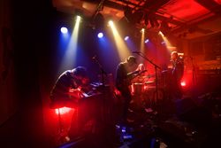 Blackberries im Rössli Bern in der Schweiz, 2016