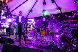 Stealing Sheep, 2015