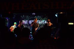 Spring Offensive, 2013