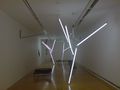 Werk von Martin Boyce, Gallery of Modern Art, Glasgow, Schottland